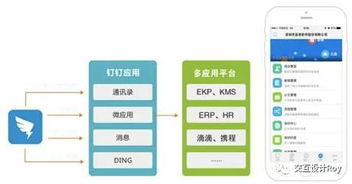 从认知到行为 b c端互联网产品的区别,你知道多少